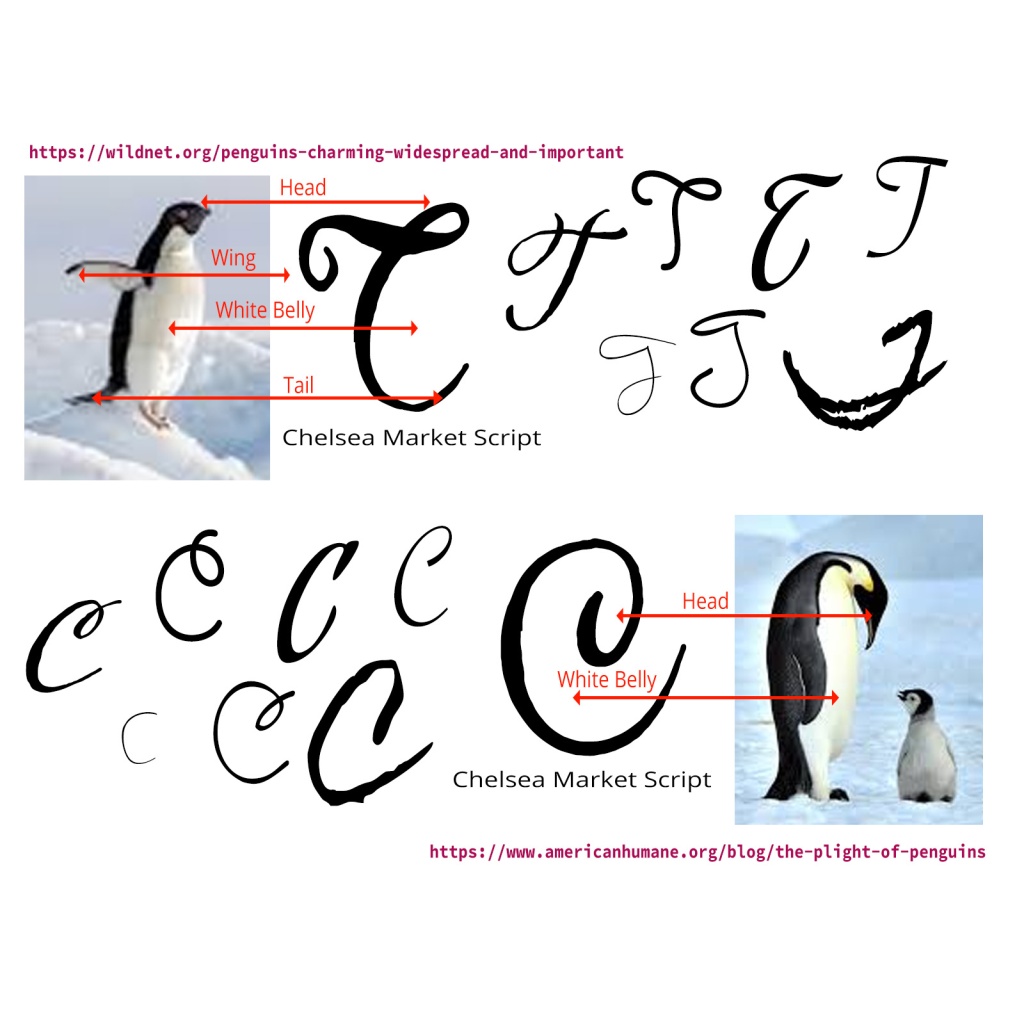 Testing Typographies This image shows various typographies tested to find a cursive or handwritten styled font in the letter 'T' for 'Topher' or 'C' for 'Codes' to use for the penguin.
